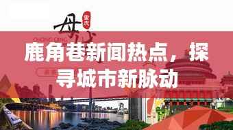 鹿角巷新闻热点,探寻城市新脉动