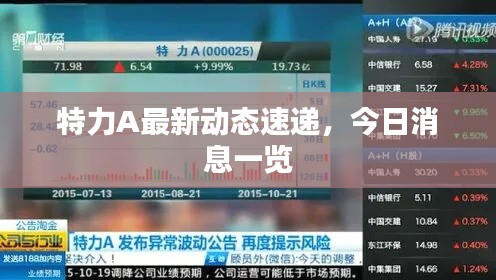 特力A最新动态速递,今日消息一览