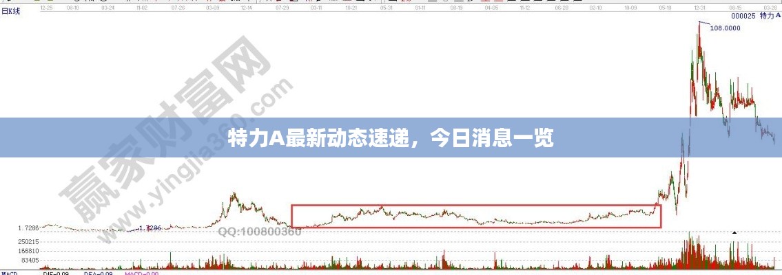 特力A最新动态速递,今日消息一览