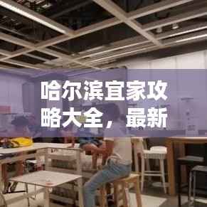 哈尔滨宜家攻略大全,最新指南来袭!
