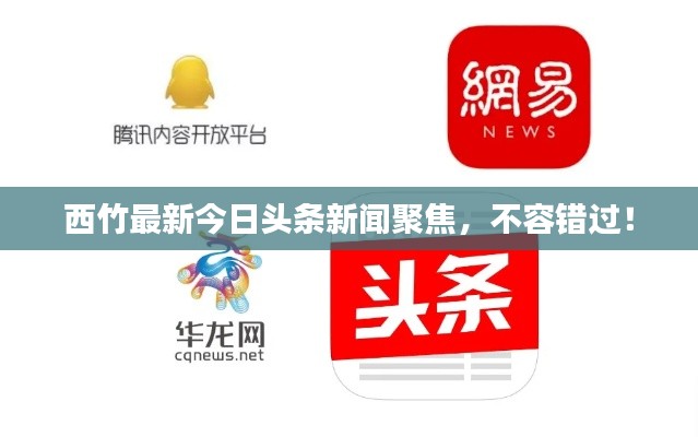 西竹最新今日头条新闻聚焦,不容错过!