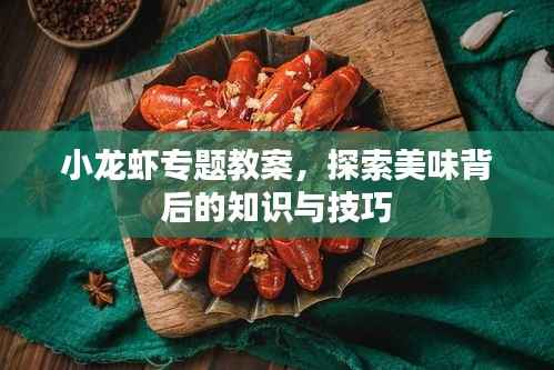 小龙虾专题教案,探索美味背后的知识与技巧