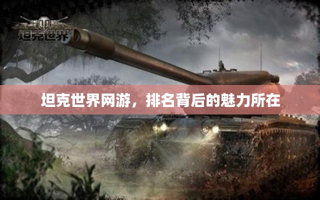 坦克世界网游,排名背后的魅力所在