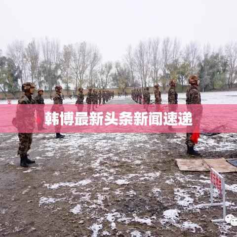 韩博最新头条新闻速递