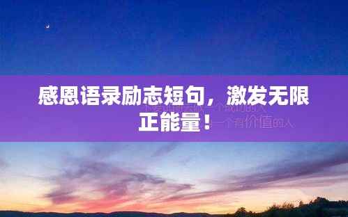 感恩语录励志短句,激发无限正能量!