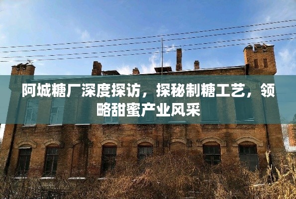 阿城糖厂深度探访,探秘制糖工艺,领略甜蜜产业风采