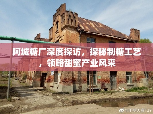 阿城糖厂深度探访,探秘制糖工艺,领略甜蜜产业风采