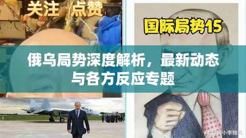 俄乌局势深度解析,最新动态与各方反应专题