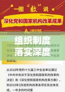组织制度落实深度探讨,现状与挑战