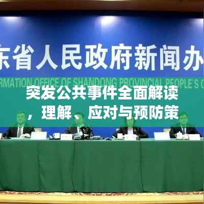 突发公共事件全面解读,理解、应对与预防策略