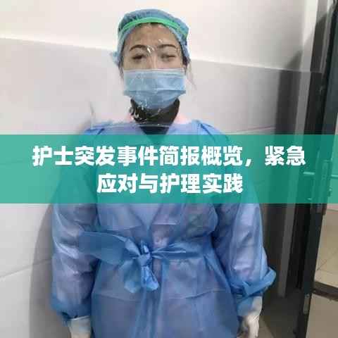护士突发事件简报概览,紧急应对与护理实践