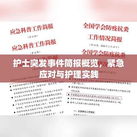 护士突发事件简报概览,紧急应对与护理实践