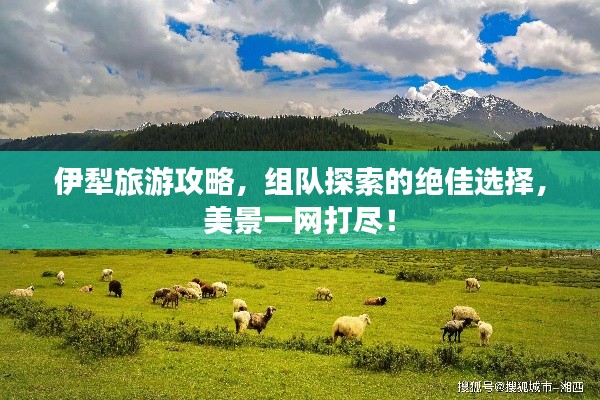 伊犁旅游攻略,组队探索的绝佳选择,美景一网打尽!