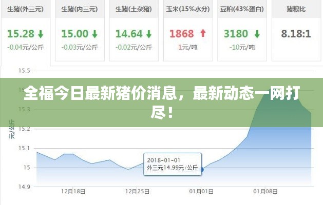 全福今日最新猪价消息,最新动态一网打尽!