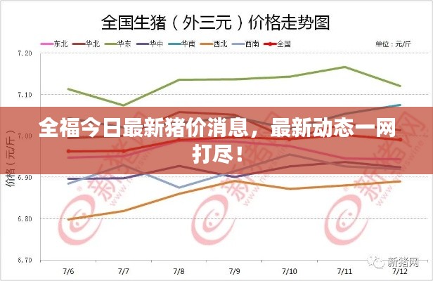 全福今日最新猪价消息,最新动态一网打尽!