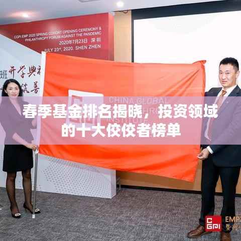 春季基金排名揭晓,投资领域的十大佼佼者榜单