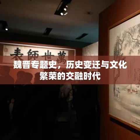 魏晋专题史,历史变迁与文化繁荣的交融时代