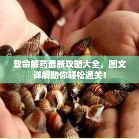 致命解药最新攻略大全,图文详解助你轻松通关!