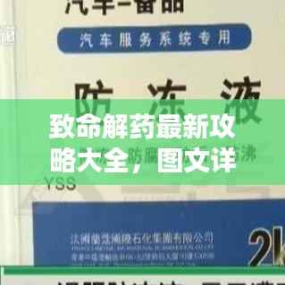 致命解药最新攻略大全,图文详解助你轻松通关!