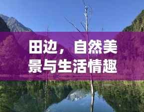 知识产权布局设计中心 第144页