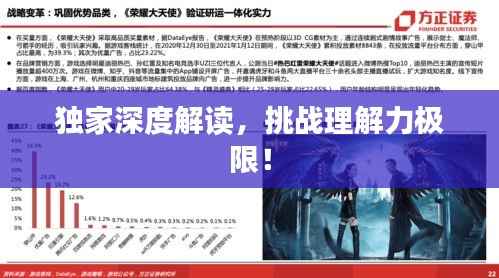 独家深度解读,挑战理解力极限!