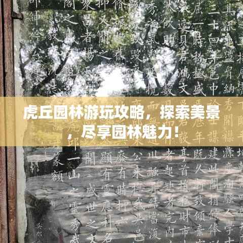 虎丘园林游玩攻略,探索美景,尽享园林魅力!
