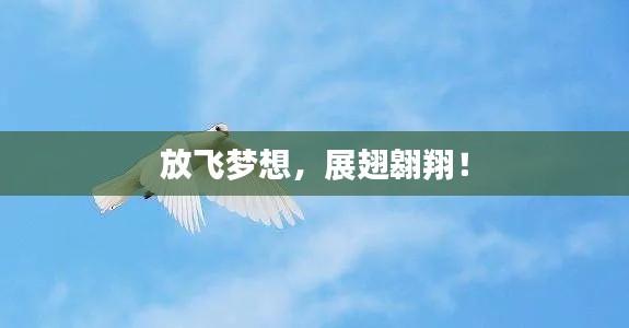 放飞梦想,展翅翱翔!