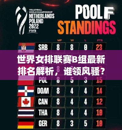 世界女排联赛B组最新排名解析,谁领风骚?