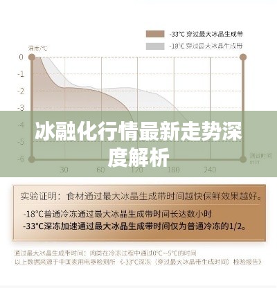冰融化行情最新走势深度解析