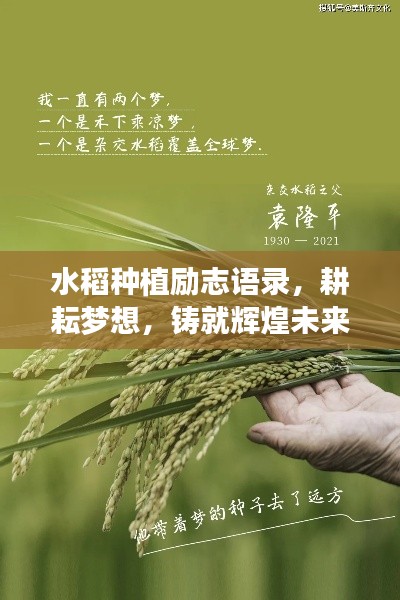 水稻种植励志语录,耕耘梦想,铸就辉煌未来