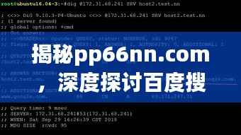 揭秘pp66nn.com,深度探讨百度搜索结果中的奥秘