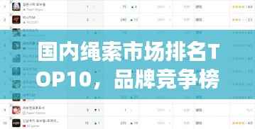 国内绳索市场排名TOP10,品牌竞争榜单揭晓!