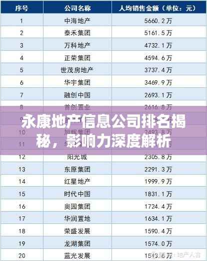 永康地产信息公司排名揭秘,影响力深度解析