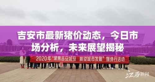 吉安市最新猪价动态,今日市场分析,未来展望揭秘