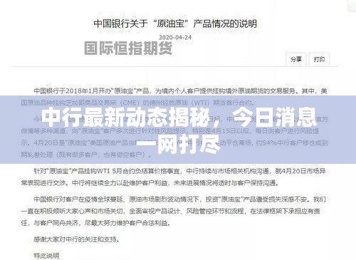 中行最新动态揭秘,今日消息一网打尽