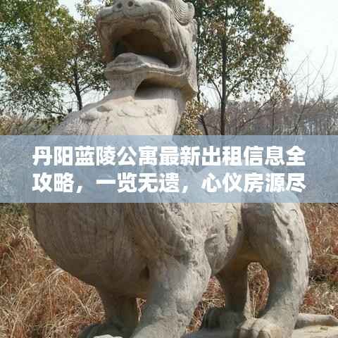 丹阳蓝陵公寓最新出租信息全攻略,一览无遗,心仪房源尽在其中!