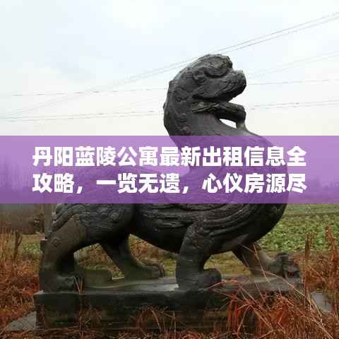 丹阳蓝陵公寓最新出租信息全攻略,一览无遗,心仪房源尽在其中!