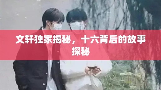 文轩独家揭秘,十六背后的故事探秘