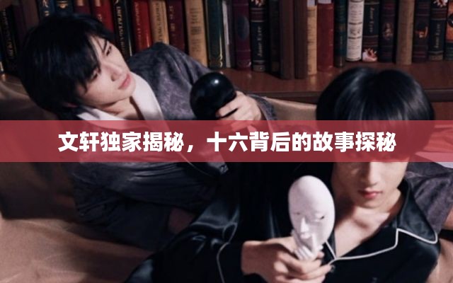 文轩独家揭秘,十六背后的故事探秘