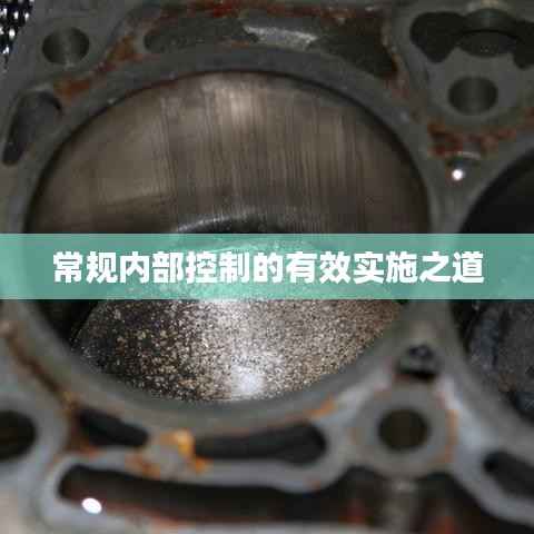 常规内部控制的有效实施之道