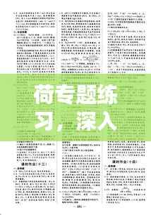 荷专题练习，深入探索与创意实践