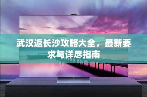 武汉返长沙攻略大全,最新要求与详尽指南