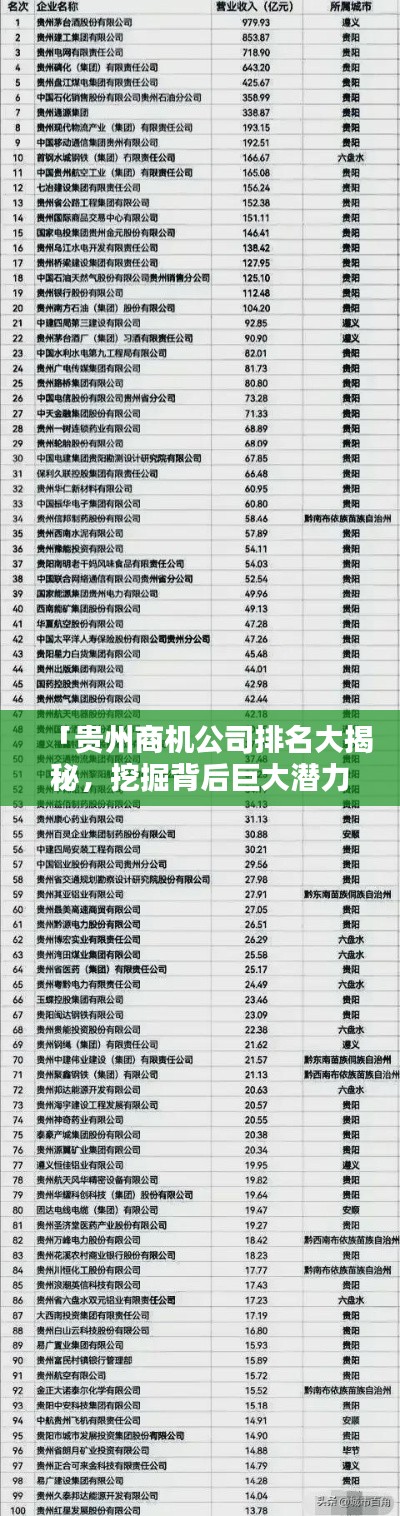 「贵州商机公司排名大揭秘,挖掘背后巨大潜力!」