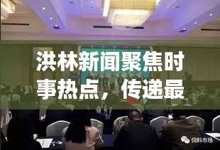 洪林新闻聚焦时事热点,传递最新资讯头条