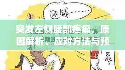 突发左侧腰部疼痛,原因解析、应对方法与预防措施