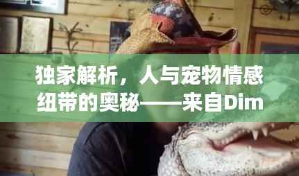 独家解析，人与宠物情感纽带的奥秘——来自Dimoo宠物的深度观察