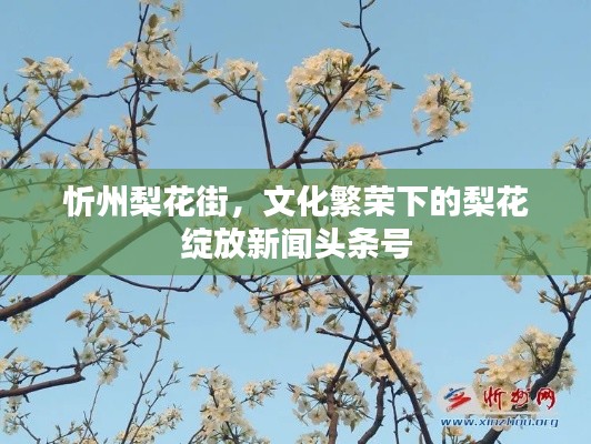 忻州梨花街,文化繁荣下的梨花绽放新闻头条号