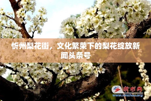 忻州梨花街,文化繁荣下的梨花绽放新闻头条号