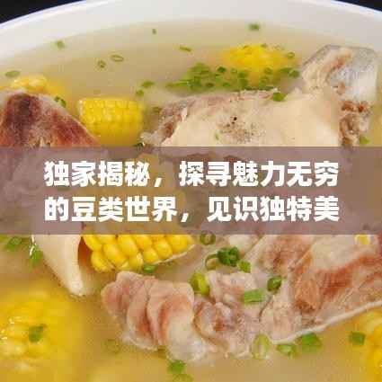 独家揭秘，探寻魅力无穷的豆类世界，见识独特美豆！