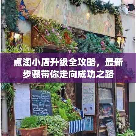 点淘小店升级全攻略，最新步骤带你走向成功之路